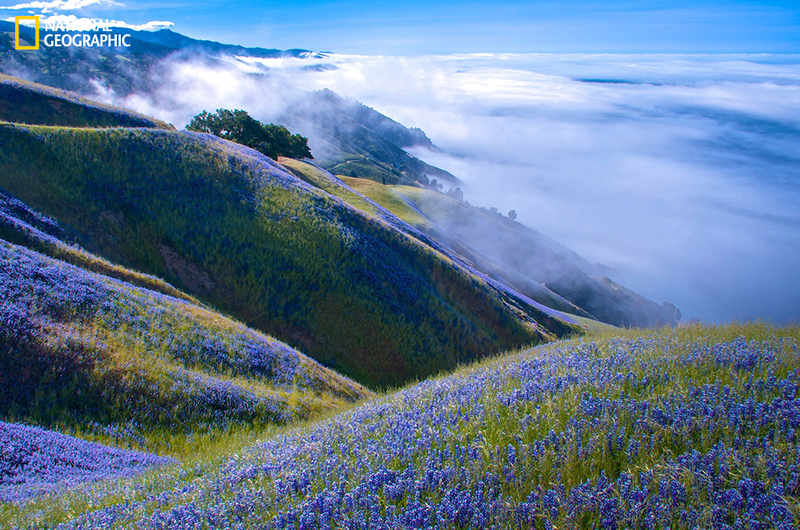 Illustration for article titled Luminous Nature Photographs Will Restore Your Sense of Wonder